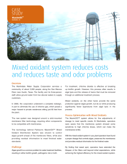 Case Study: Martindale, TX