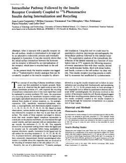 Intracellular Pathway Followed by the Insulin Receptor Covalently