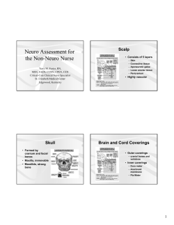 Neuro Assessment for the Non