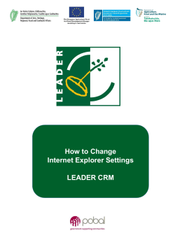 How to Change Internet Explorer Settings LEADER CRM