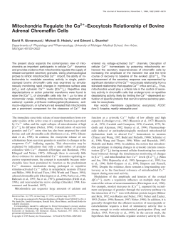 Mitochondria Regulate the Ca2+ &ndash;Exocytosis Relationship of Bovine