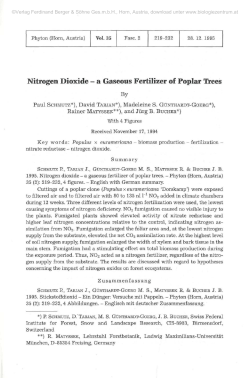 Nitrogen Dioxide - a Gaseous Fertilizer of Poplar Trees