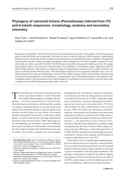 Phylogeny of cetrarioid lichens (Parmeliaceae) inferred from ITS and