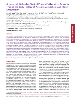 A Universal Molecular Clock of Protein Folds and
