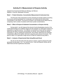 Lab #4a Measurement of Enzyme Activity
