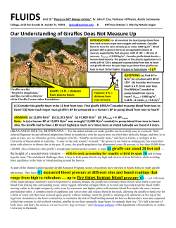 Our Understanding of Giraffes Does Not Measure Up