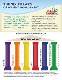 the six pillars of weight management
