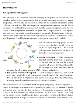 Budding Yeast Cell Cycle Model