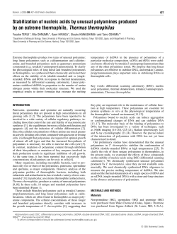 Stabilization of nucleic acids by unusual polyamines produced by an