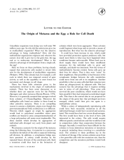 Letter to the Editor: The Origin of Metazoa and the Egg: a