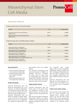 Mesenchymal Stem Cell Media