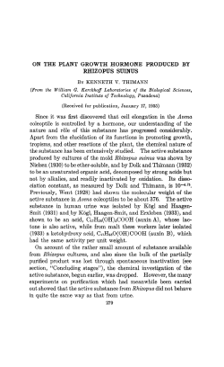 ON THE PLANT GROWTH HORMONE PRODUCED BY RHIZOPUS