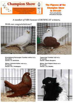 De Sierduiven op de Champion Show
