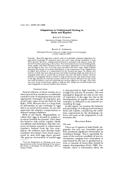 Adaptations to Underground Nesting in Birds and Reptiles1