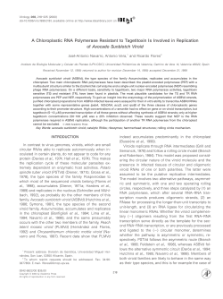 A Chloroplastic RNA Polymerase Resistant to Tagetitoxin Is Involved