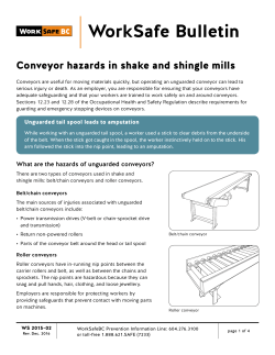 Conveyor hazards in shake and shingle mills