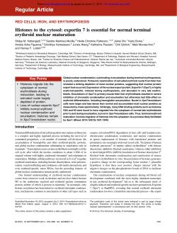Histones to the cytosol: exportin 7 is essential for normal terminal