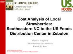 Cost Analysis of Local Strawberries