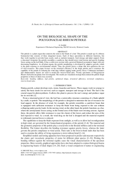 on the biological shape of the polygonaceae