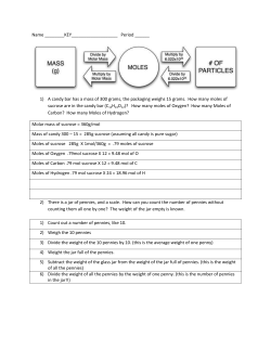 Review Sample Worksheet KEY PDF