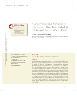 Conservation and Variation in Hox Genes: How Insect Models