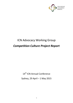 Competition Culture Project Report