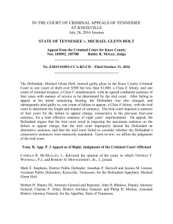 STATE OF TENNESSEE v. MICHAEL GLENN HOLT