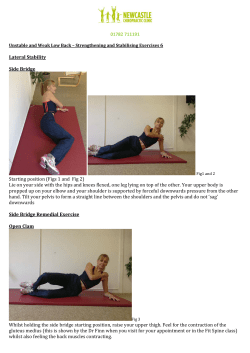 01782 711191 Lateral Stability Side Bridge Starting position (Figs 1
