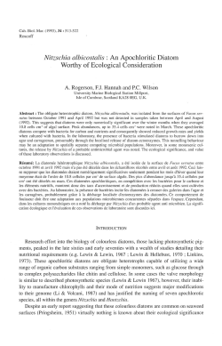 Nitzschia albicostalis : An Apochloritic Diatom Worth y of Ecological