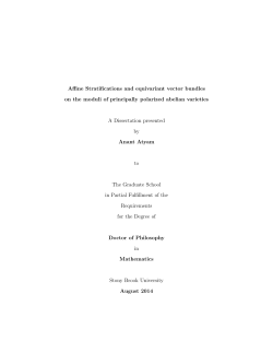 Affine Stratifications and equivariant vector bundles on the moduli of