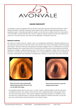 EQUINE ENDOSCOPY