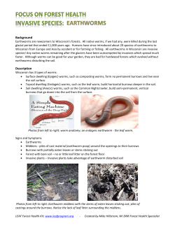 Earthworms