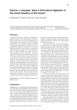 Equine &alpha;&ndash;amylase: does it limit starch digestion