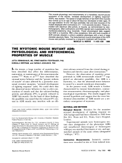 the myotonic mouse mutant adr: physiological and