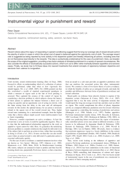 Instrumental vigour in punishment and reward