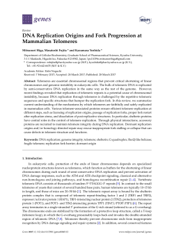 DNA Replication Origins and Fork Progression at Mammalian