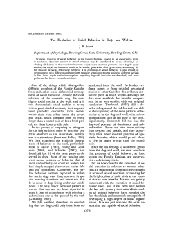 The Evolution of Social Behavior in Dogs and Wolves Department of