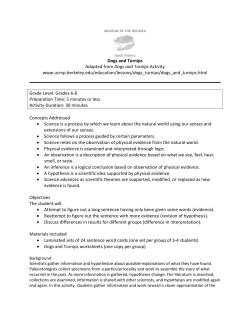 Dogs and Turnips Activity