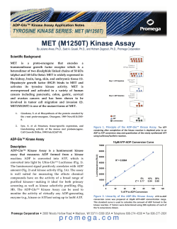 MET (M1250T) Kinase Assay