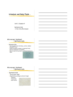 notes page pdf