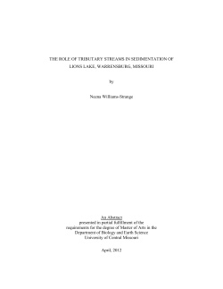 THE ROLE OF TRIBUTARY STREAMS IN SEDIMENTATION OF