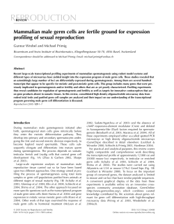 Mammalian male germ cells are fertile ground for expression