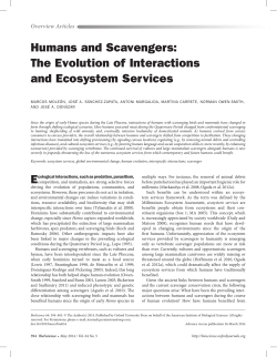 Humans and Scavengers: The Evolution of