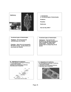 Herbivory