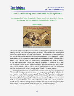 Second Reaction: Chasing Teachable Moments by Chasing Cheetahs