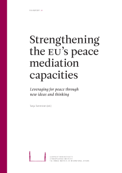 Strengthening the EU`s peace mediation capacities