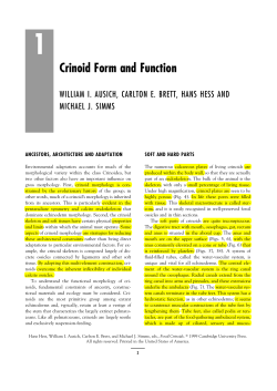 1 Crinoid Form and Function