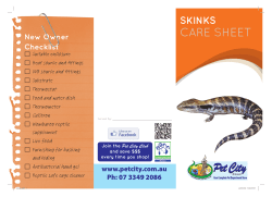 To view the caresheet on skinks click here