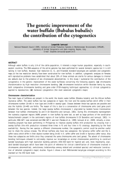 The genetic improvement of the water buffalo