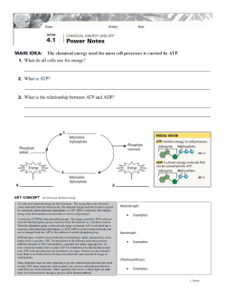 Heterotroph: &bull; Examples: Autotroph: &bull; Examples: Chemosynthesis